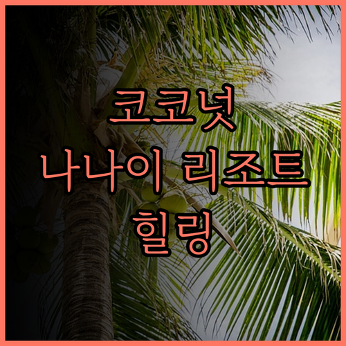 더 코코넛 나나이 리조트.. 조용하고