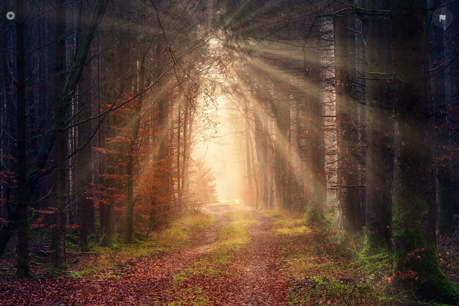 직장인 추천 위로 영화 관련 사진