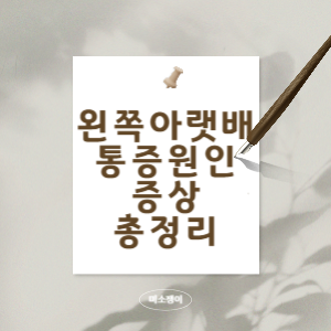 왼쪽아랫배통증총정리