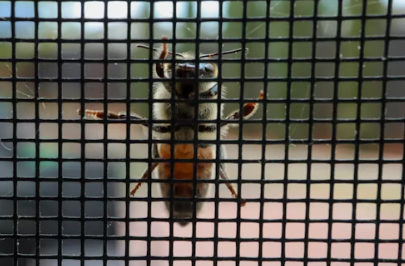 창문과 문에 방충망