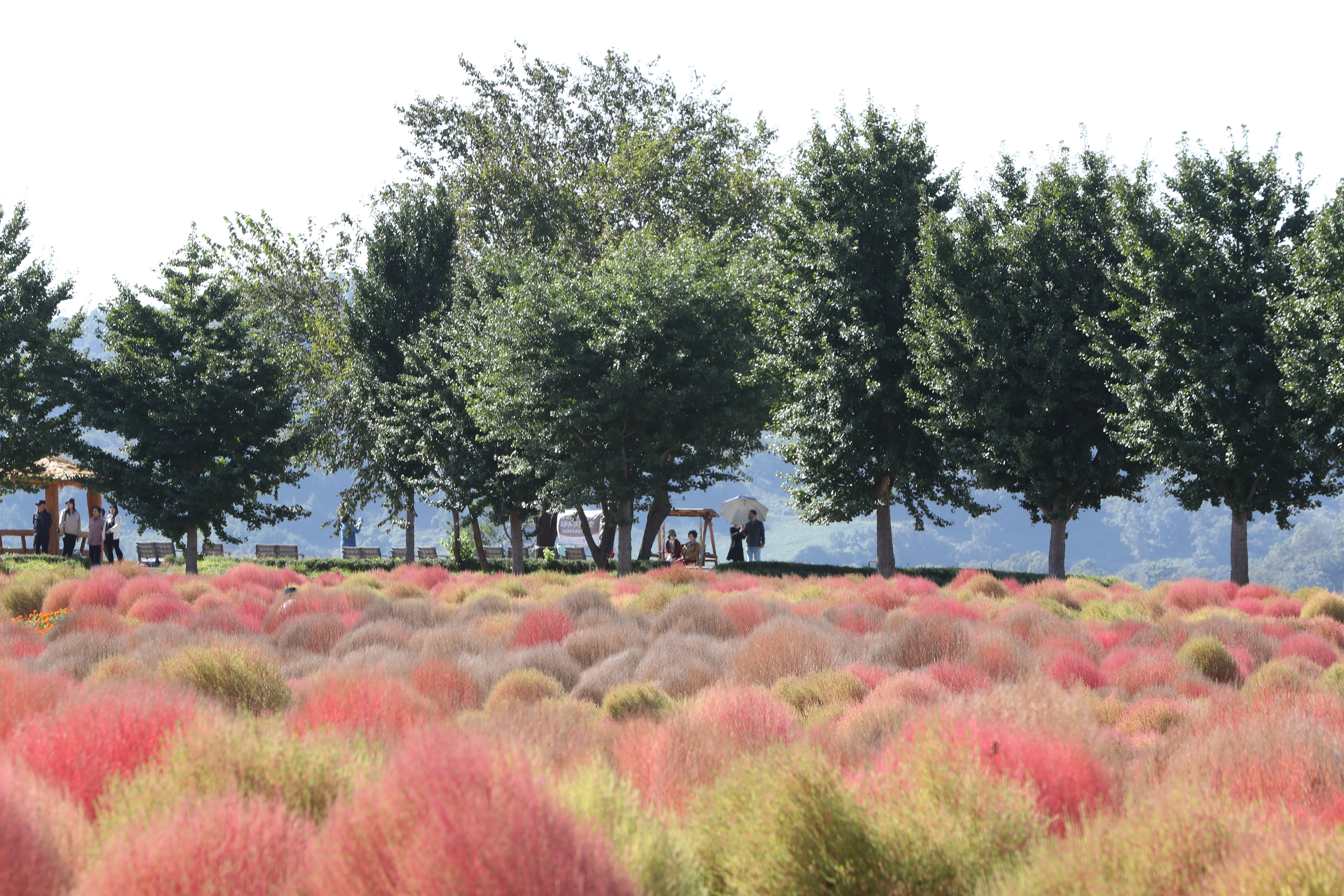 연천 가볼만한곳