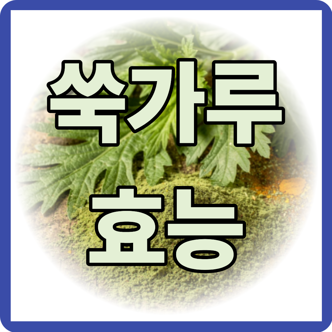 쑥가루 효능 알아보기