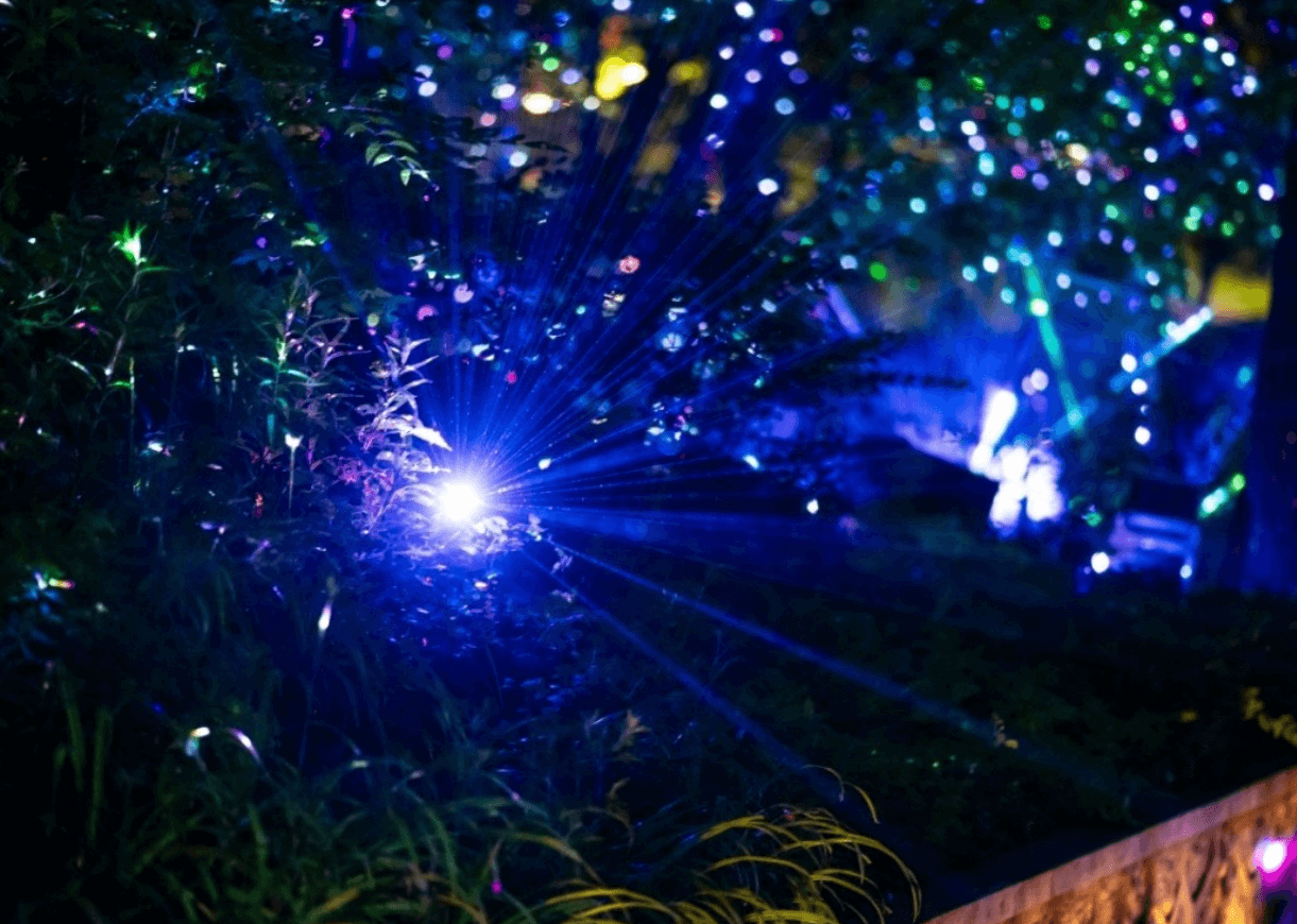 청와대 관람신청, 야간개장(야간관람신청)