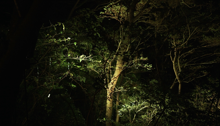 통영 디피랑 경관