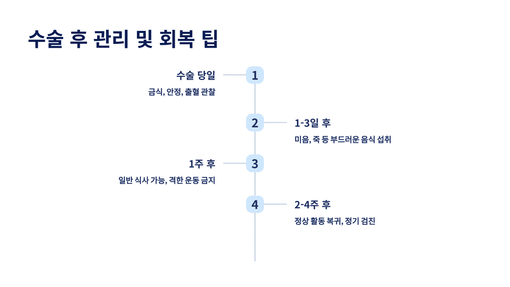 수술 후 관리 및 회복 팁