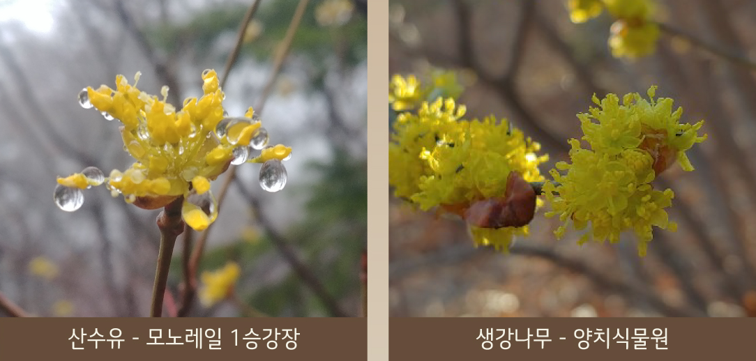 2025 화담숲 예약 방법 &amp; 꿀팁 총정리 - 운영시간&middot;요금&middot;환불까지 4