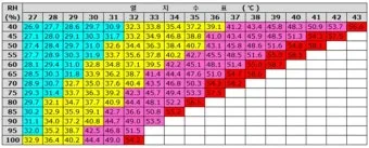 폭염 주의보 체감온도 열지수 온열질환 예방 체크리스트_18