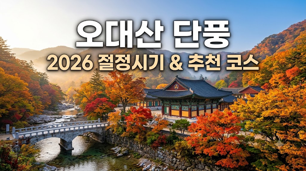 오대산 단풍 절정시기