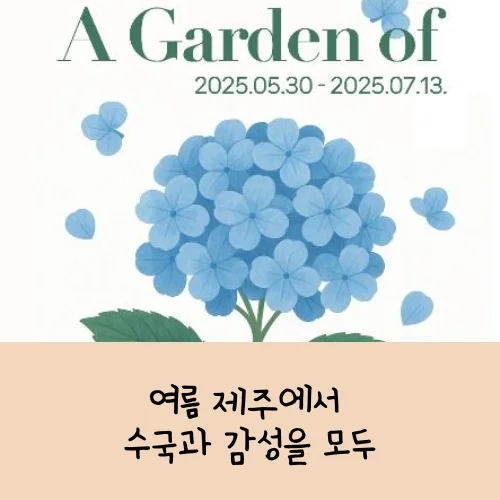 제주 보롬왓 수국정원 축제