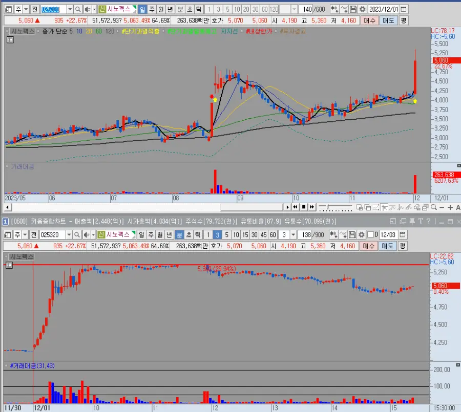 시노펙스 일봉 및 분봉
