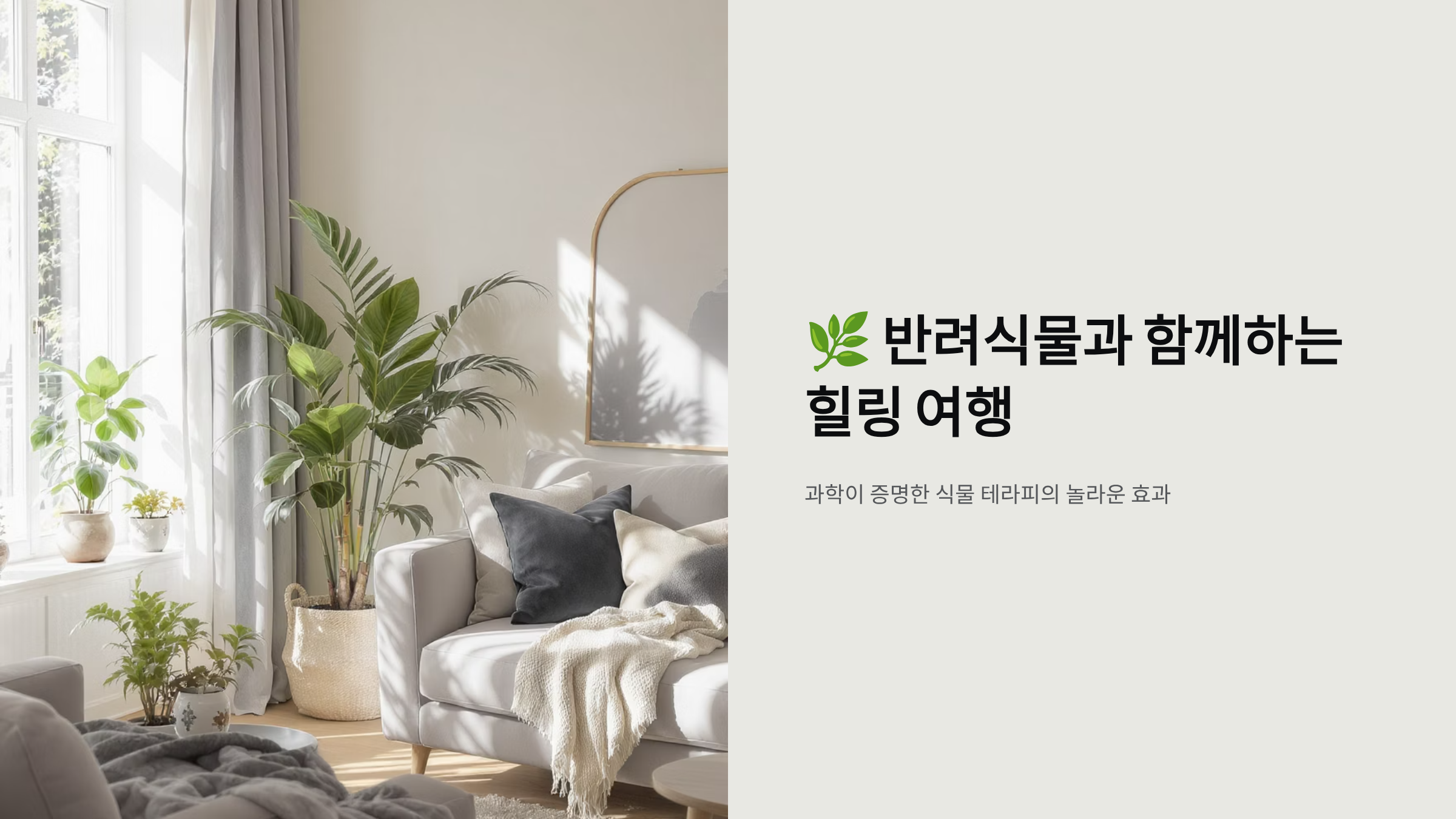 반려식물이 주는 심리 안정 효과와 치유력