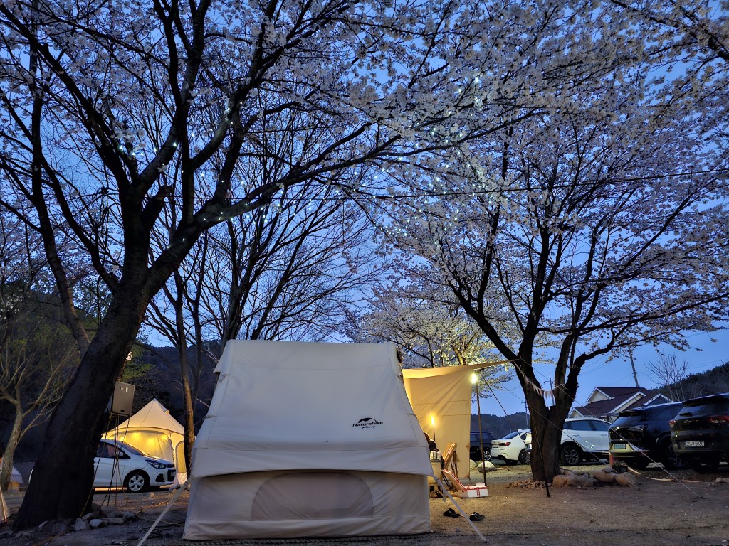 밤 캠핑 분위기