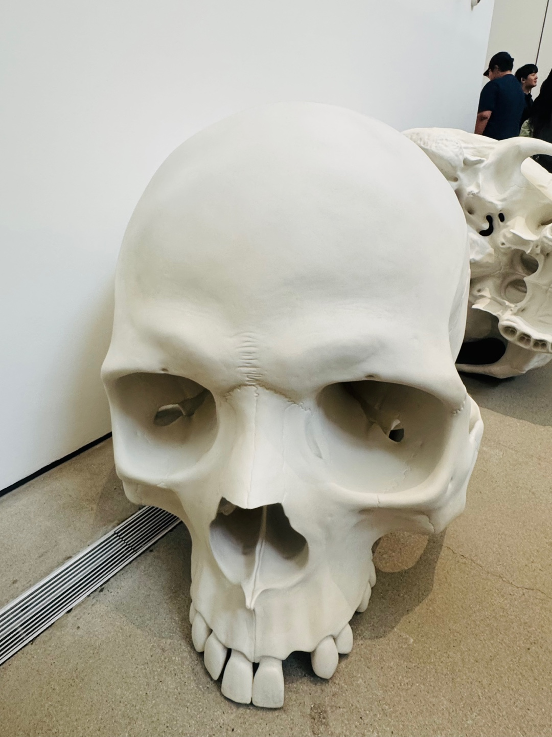 ๋ก ๋ฎค์ต ์ ์์ฅ ๋ด ๋ํ ํด๊ณจ ์กฐํ๋ฌผ