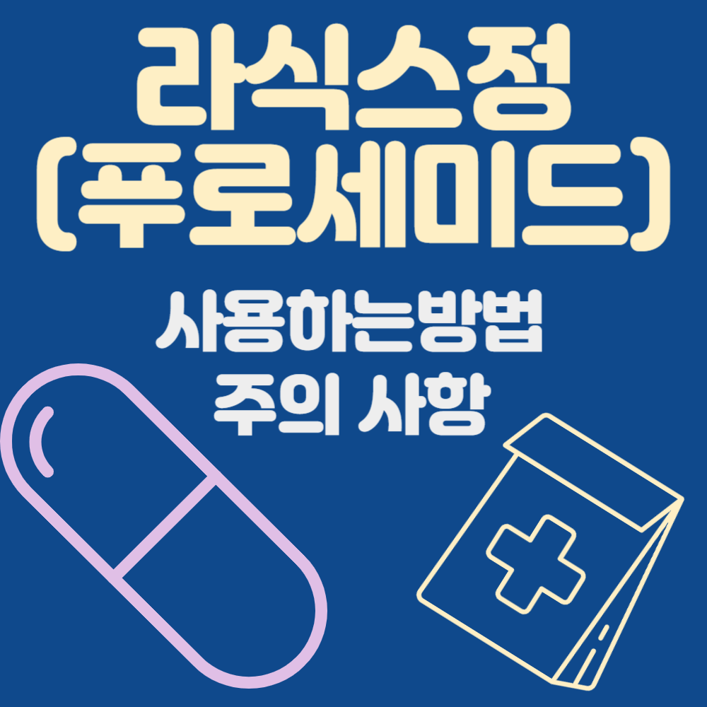 라식스정 (푸로세미드)