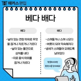 몸에 배다 베다 구분과 올바른 사용_11