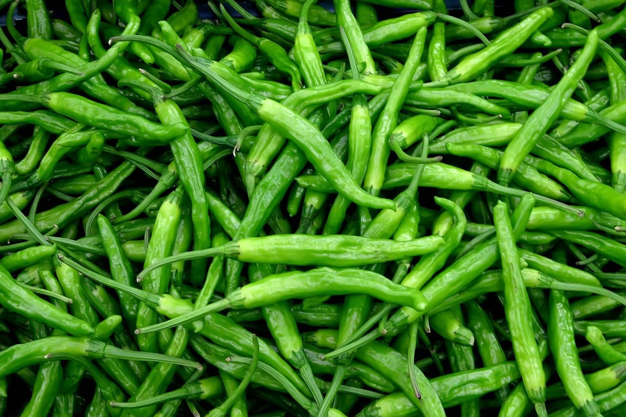 확장 &amp; 응용: 작물별 맞춤 자동화 시스템 세팅 노하우