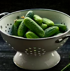 오이 효능 부작용 고르는법 칼로리