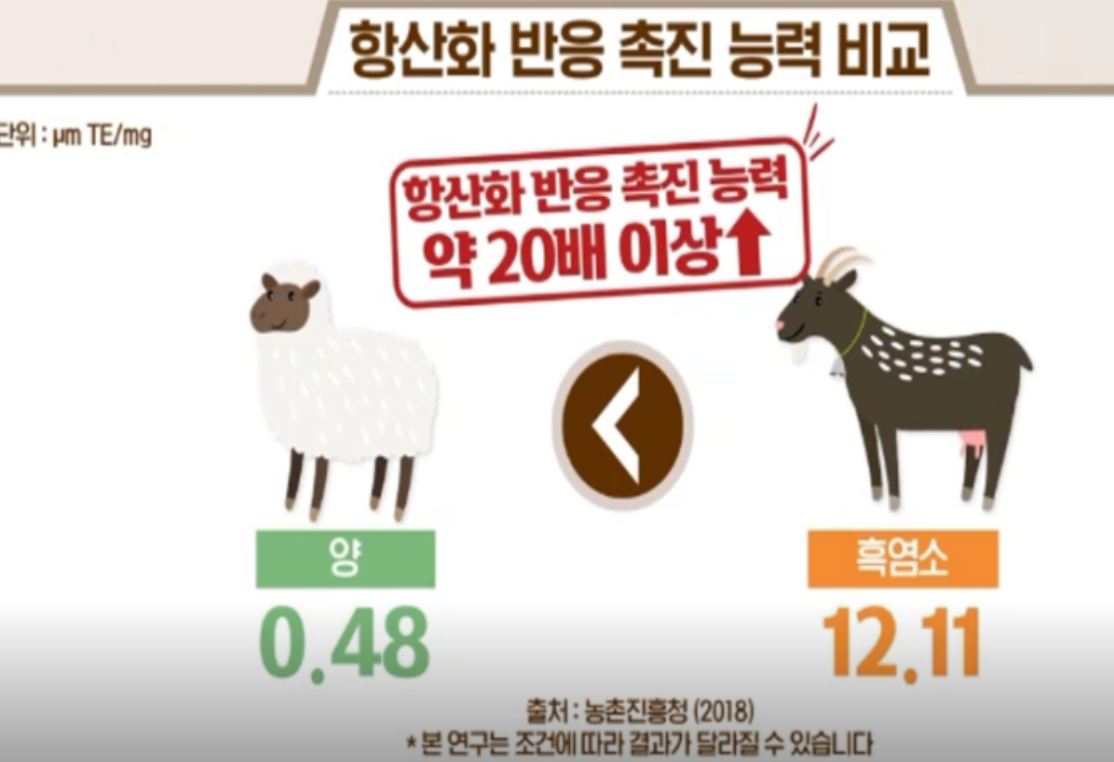 흑염소진액효능