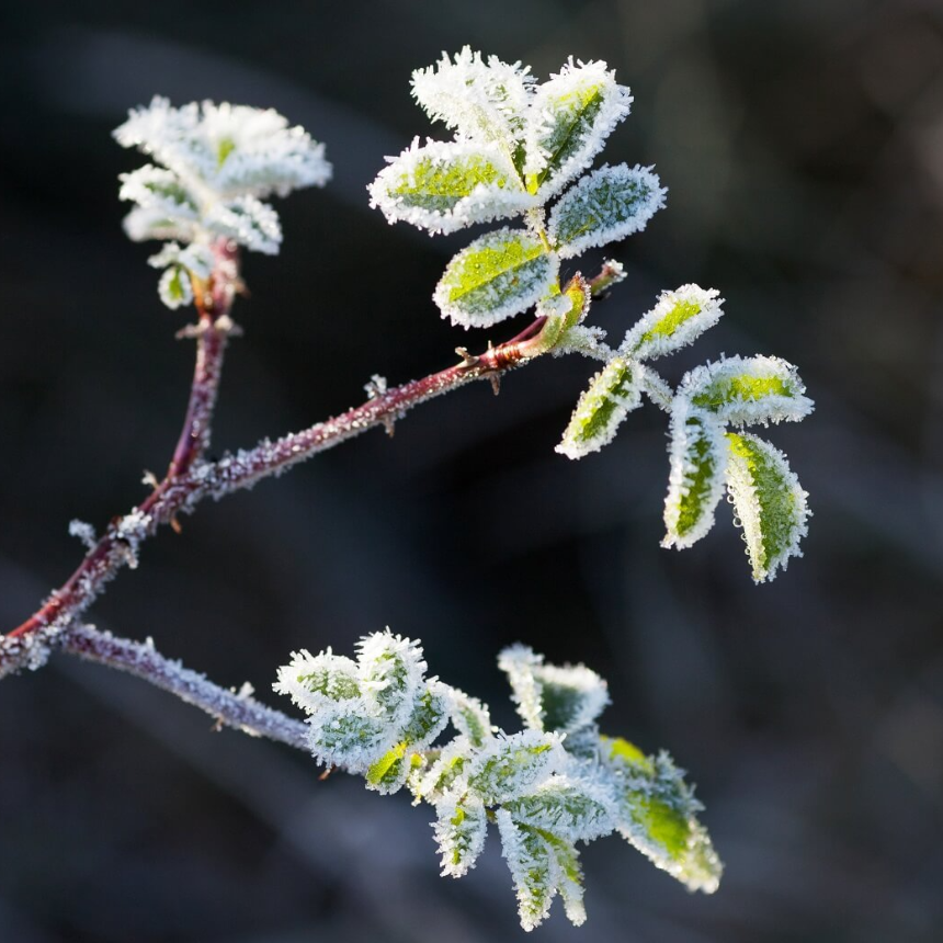 계절의 변화를 세분화한 24 절기 중 '상강' 이해하기