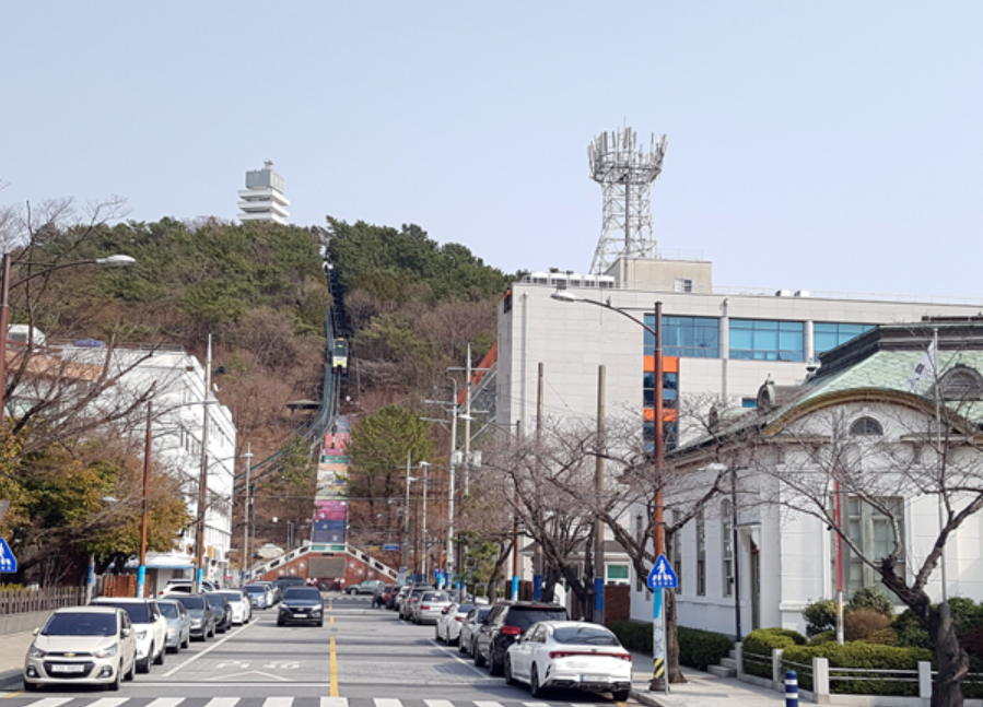 진해군항제 벚꽃 축제