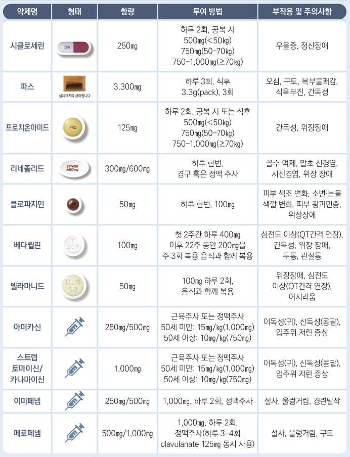 결핵약 부작용