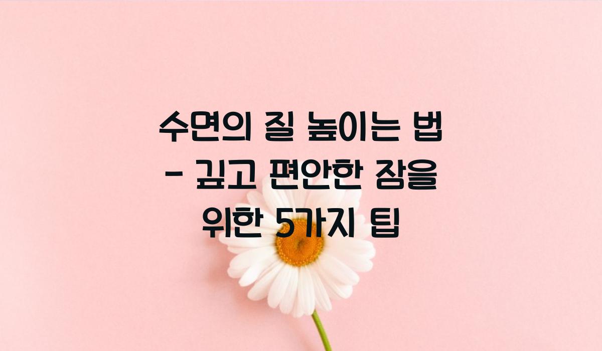 수면의 질 높이는 법