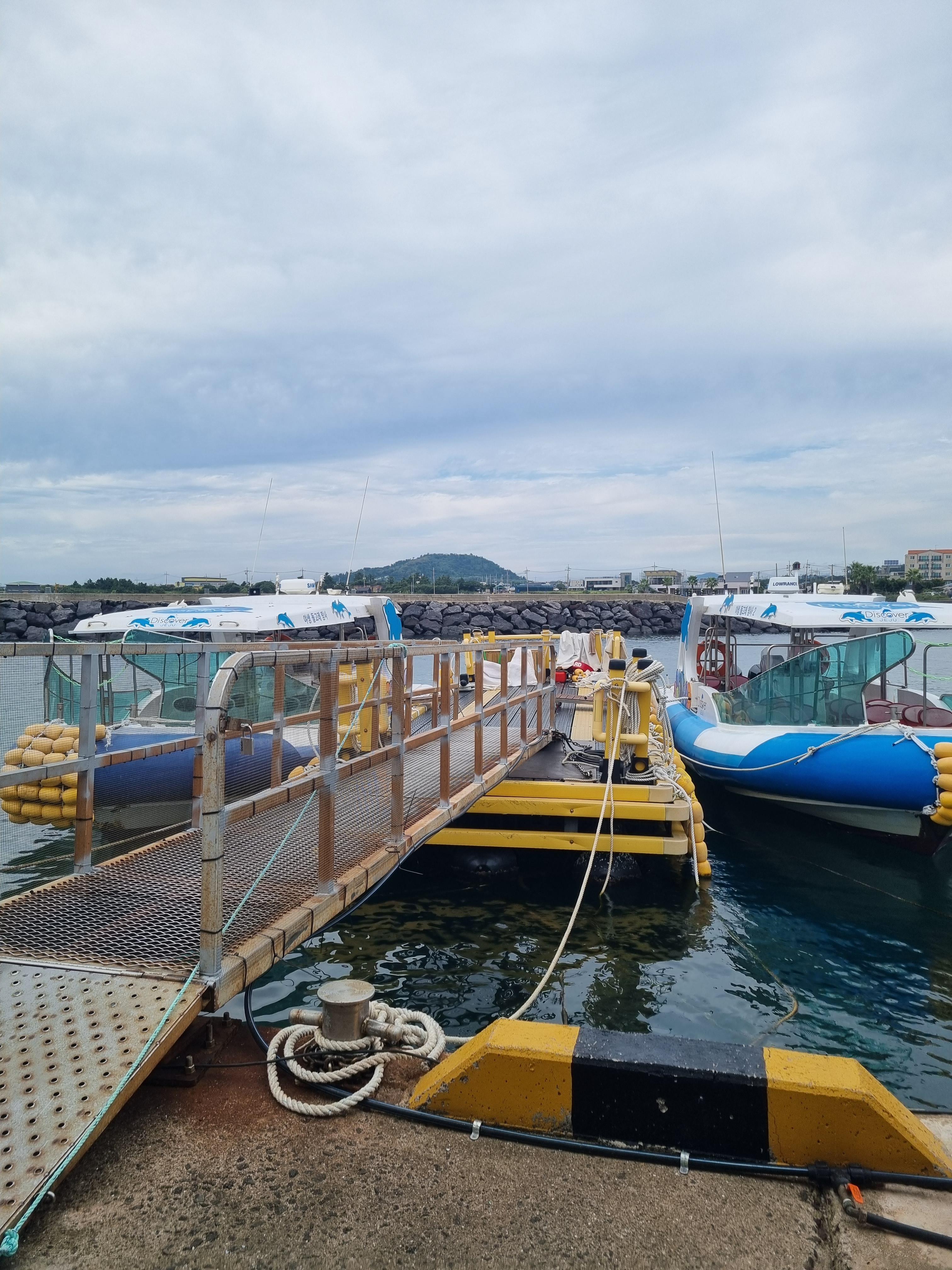 제주돌고래 힐링투어