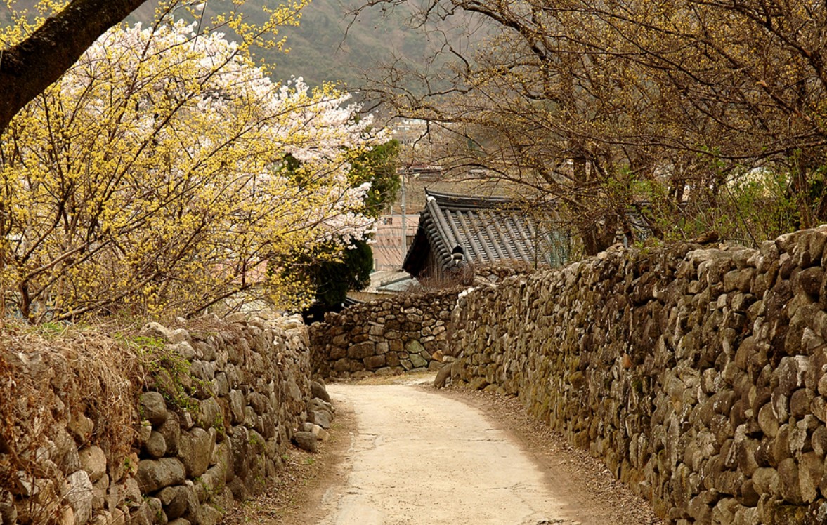 한밤마을의-거리