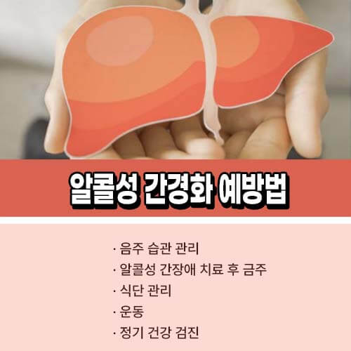 알콜성 간경화 예방법