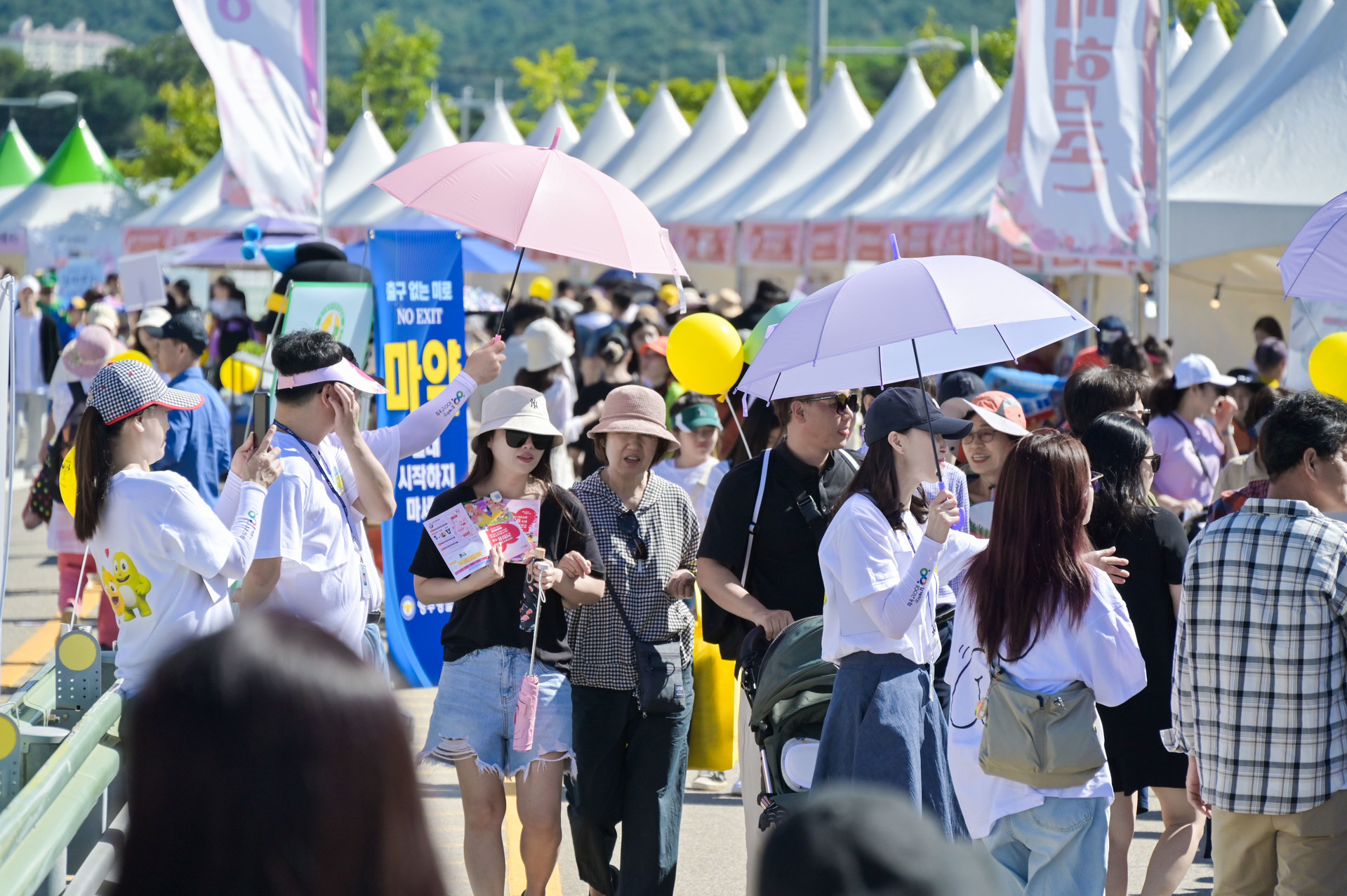 2024 양주 천일홍 축제