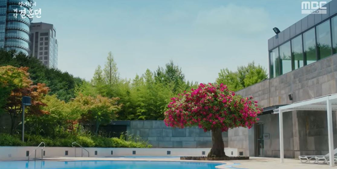 열녀박씨계약결혼뎐_5회