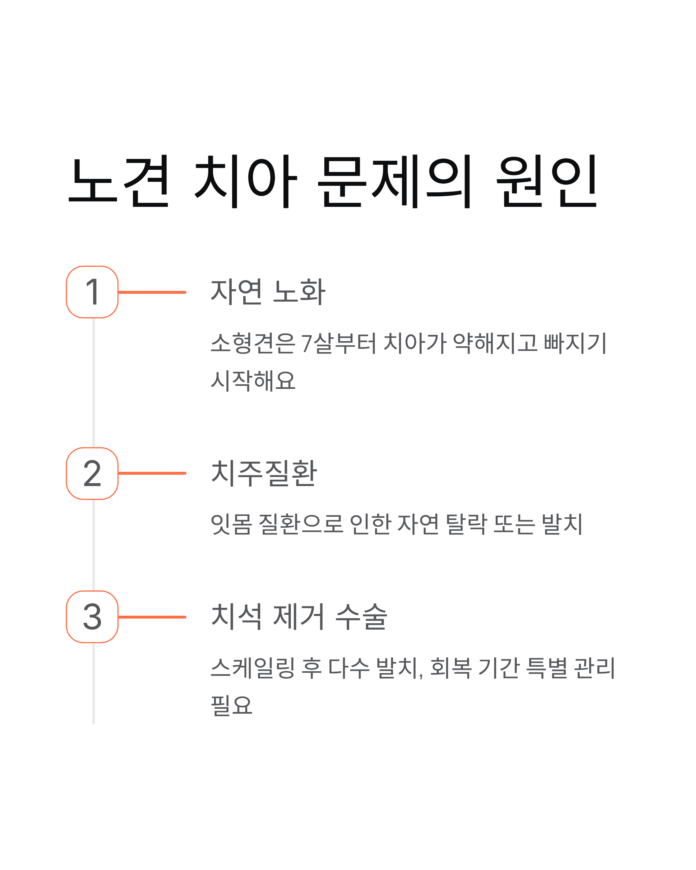 이빨없는 강아지 밥먹이기 - 노견 사료와 유동식 완벽 가이드! 🐶