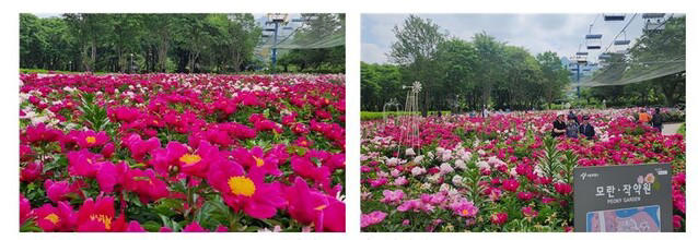 서울대공원 테마가든