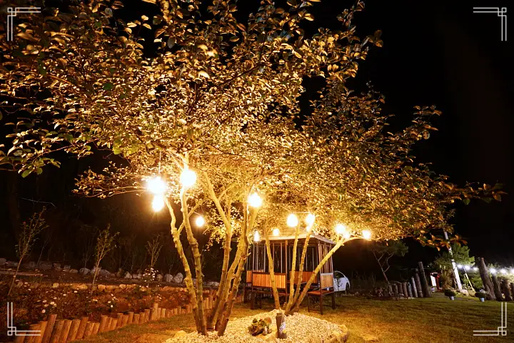 생생정보 커피 & 디저트 맛집