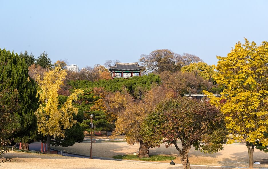 달성공원