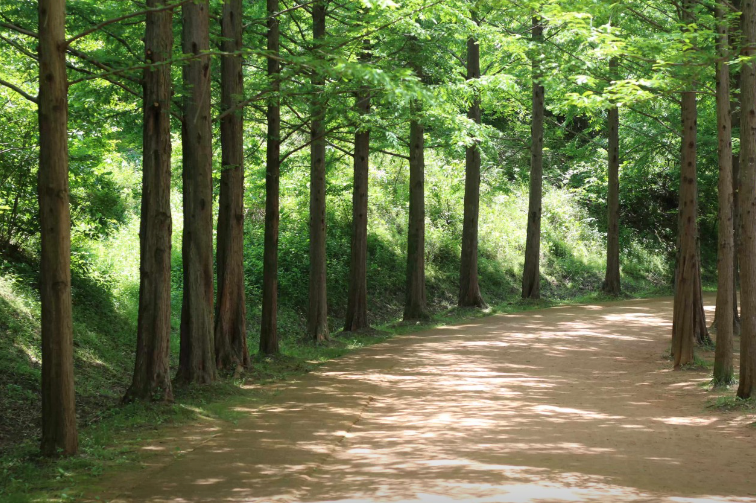 금강자연휴양림1