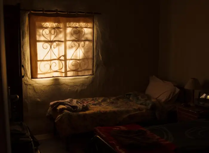 빈대 물린자국 증상