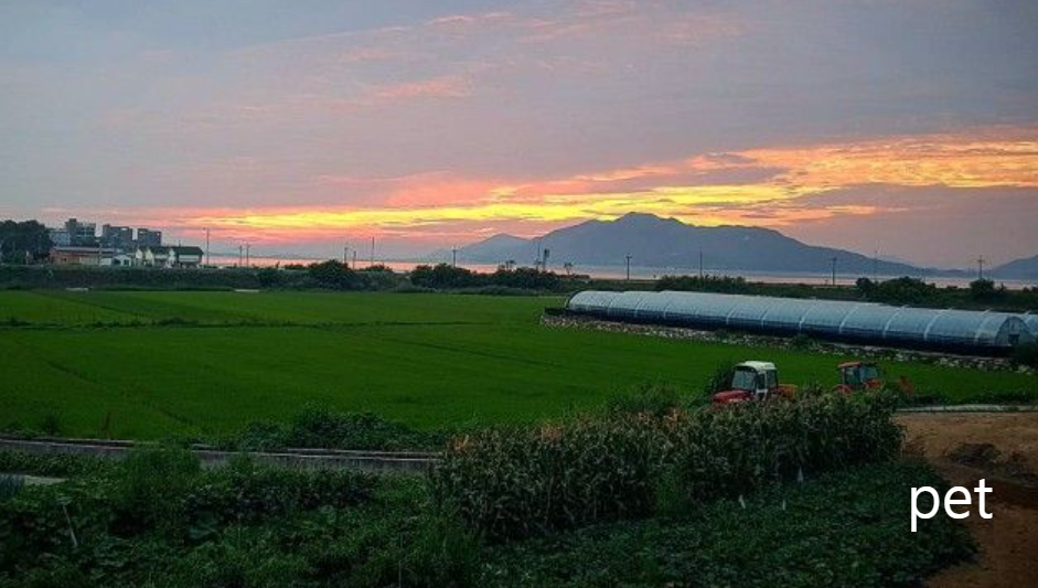 경기-인천-행복한소풍캠핑장-예약-방법-애견-동반-가격-주소-시간-후기