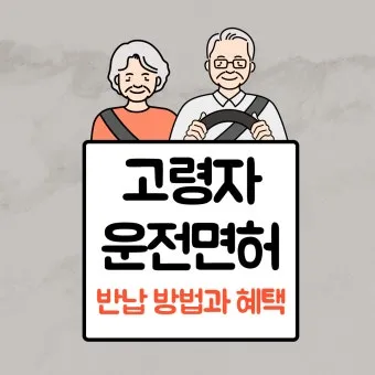 운전면허 반납 혜택 교통비 지원 대체교통 안전 이동법_25