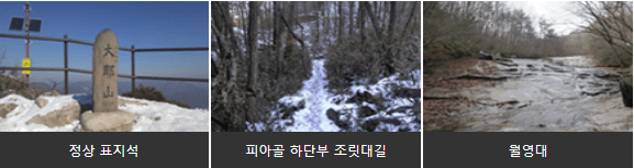 대야산정상