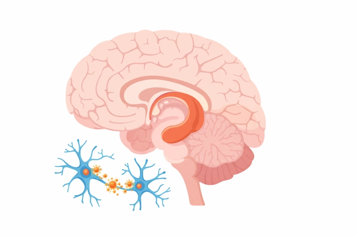 알츠하이머 증상