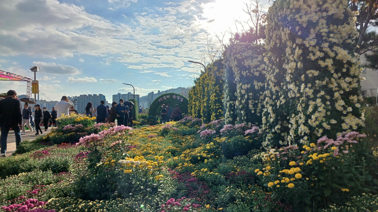 마산국화축제6