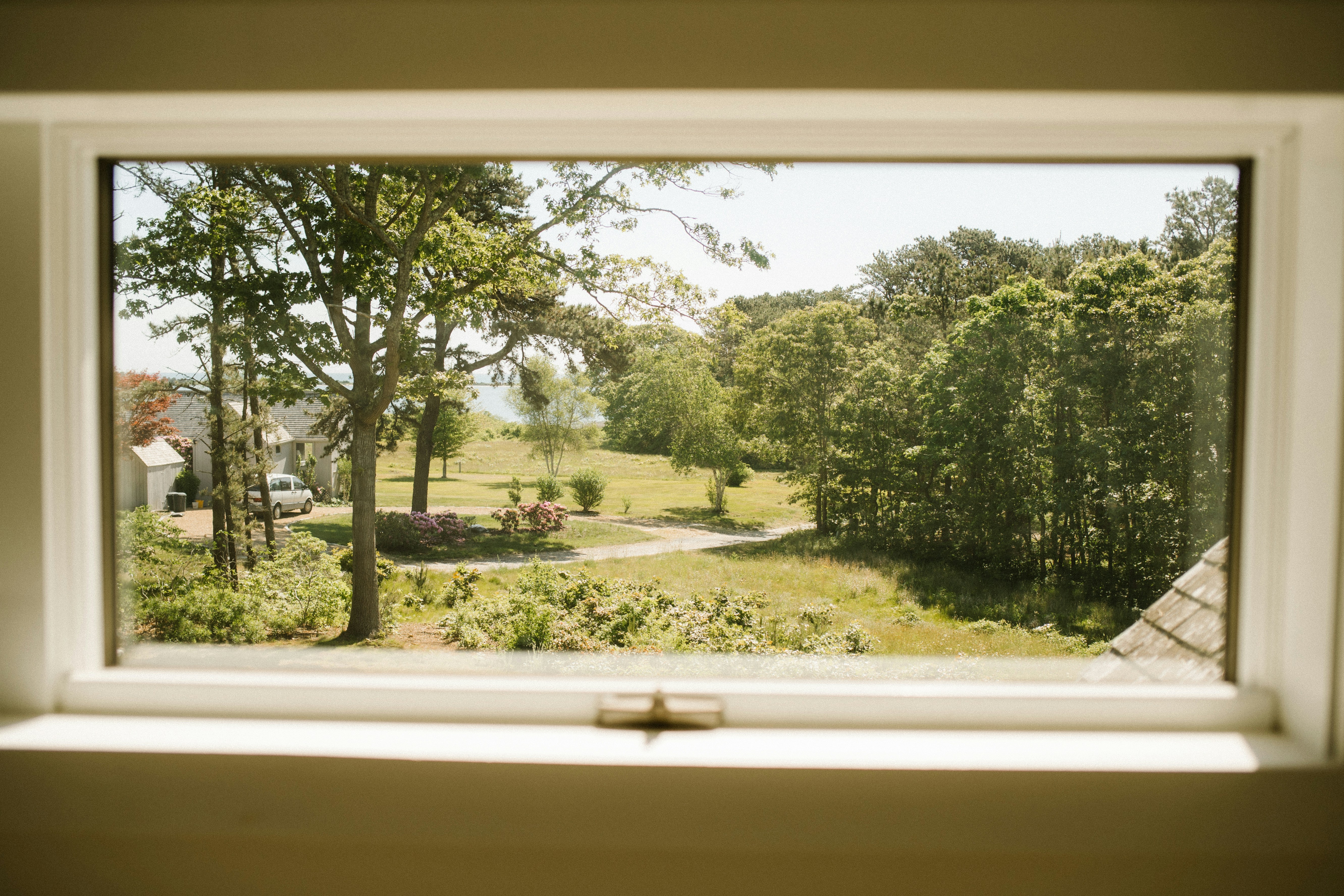 봄기운이 느껴지는 창밖 관련 사진
