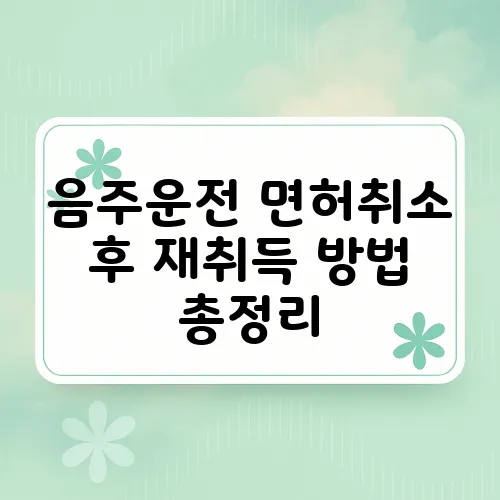 음주운전 면허취소 후 재취득 방법 총정리