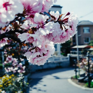 후쿠오카 계절별 추천 여행지