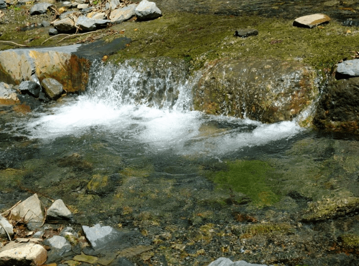 보령-화장골계곡