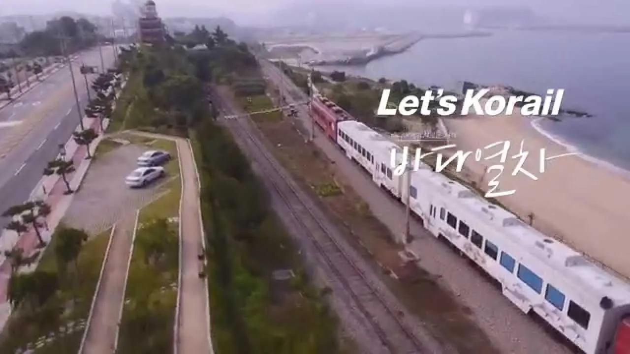 레츠코레일 회원 가입 방법_5