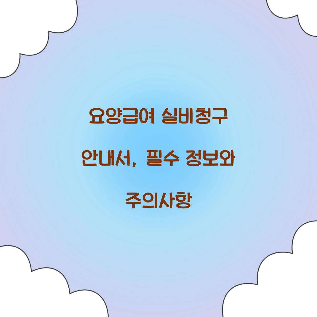 요양급여 실비청구