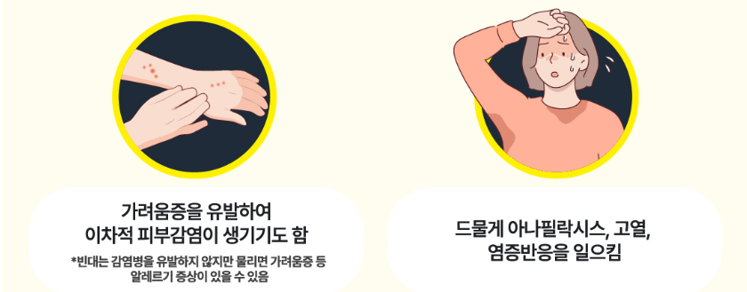 빈대-물린-증상-이미지