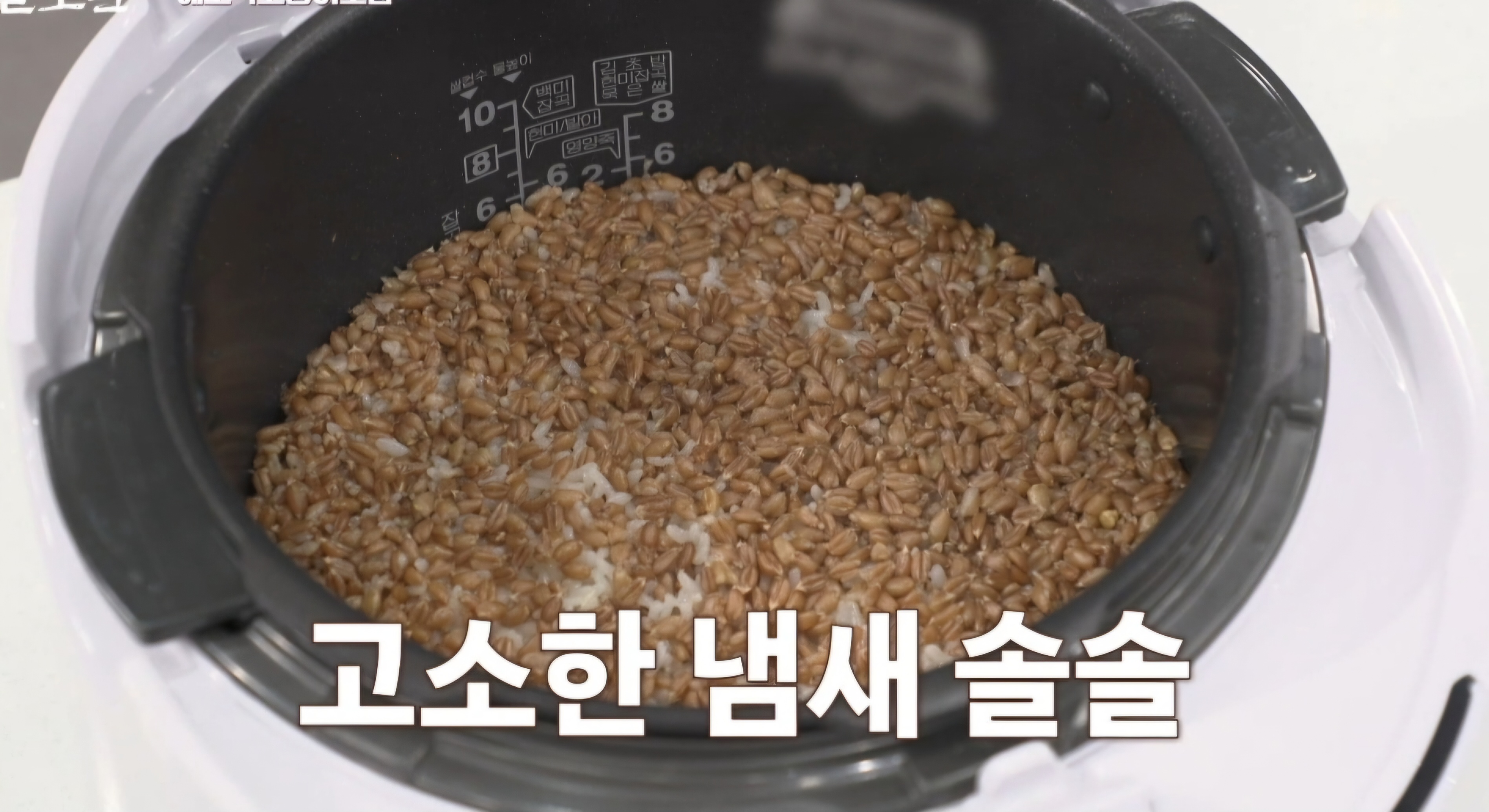 알토란 파로밥